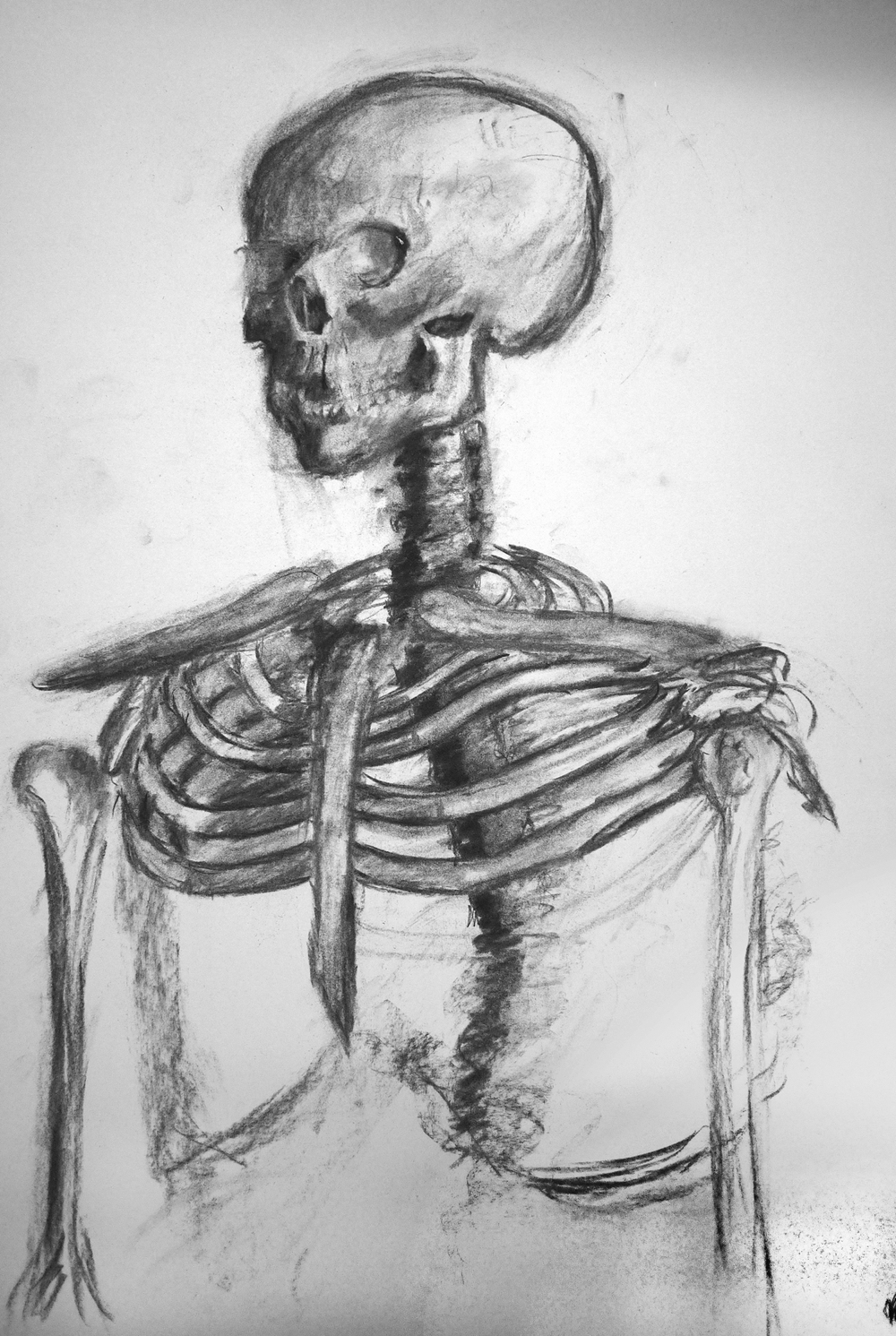 Skeleton2