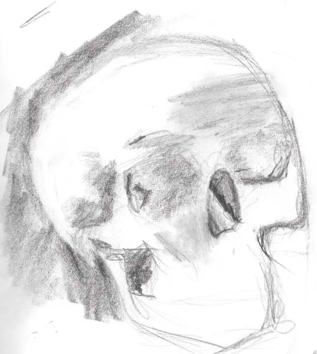 Profile study in pencil