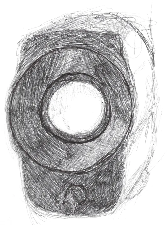Avocado, pencil study