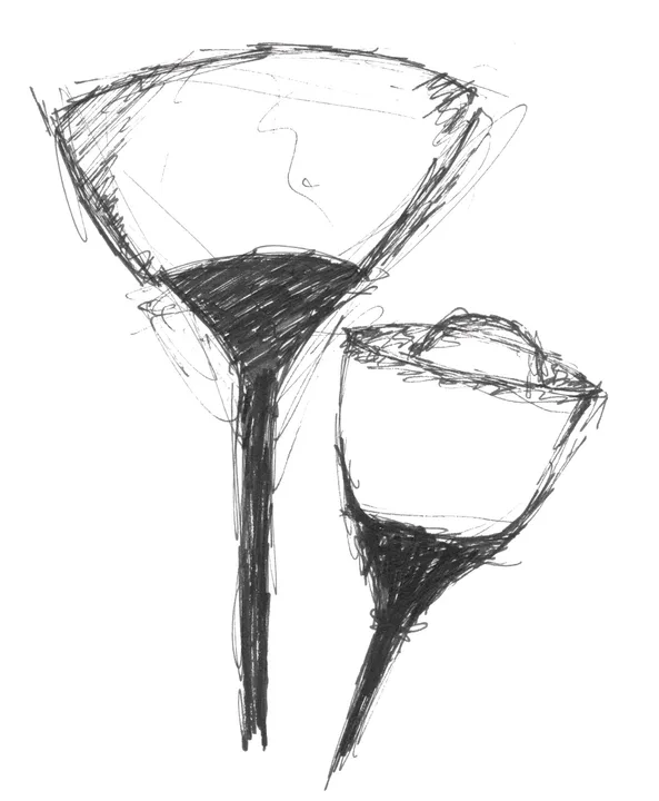 Two calla lilies, pencil study